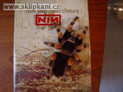 Brachypelma-smithi